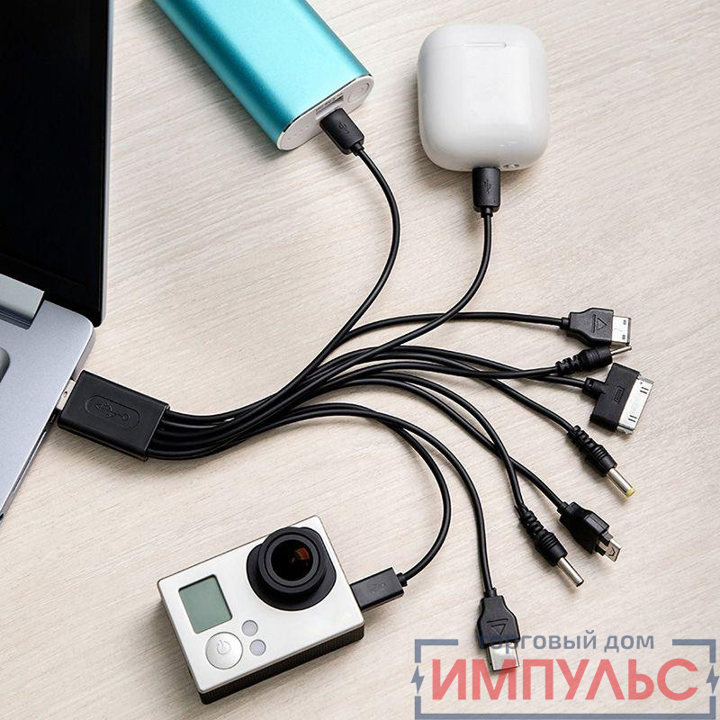 Кабель USB 10 в 1 microUSB/miniUSB/30 pin/LG Chocolate/Samsung/SonyEricsson/DC 3.5/DC 4.0/Nokia Rexant 18-1196