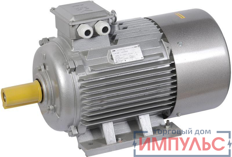 Электродвигатель АИР DRIVE 3ф 250M2 380/660В 90кВт 3000об/мин 1081 IEK DRV250-M2-090-0-3010