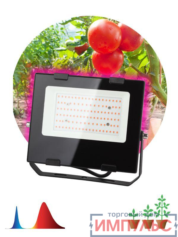 Прожектор для растений FITO-50W-RB-LED 50Вт IP65 красно-синего спектра ЭРА Б0046368